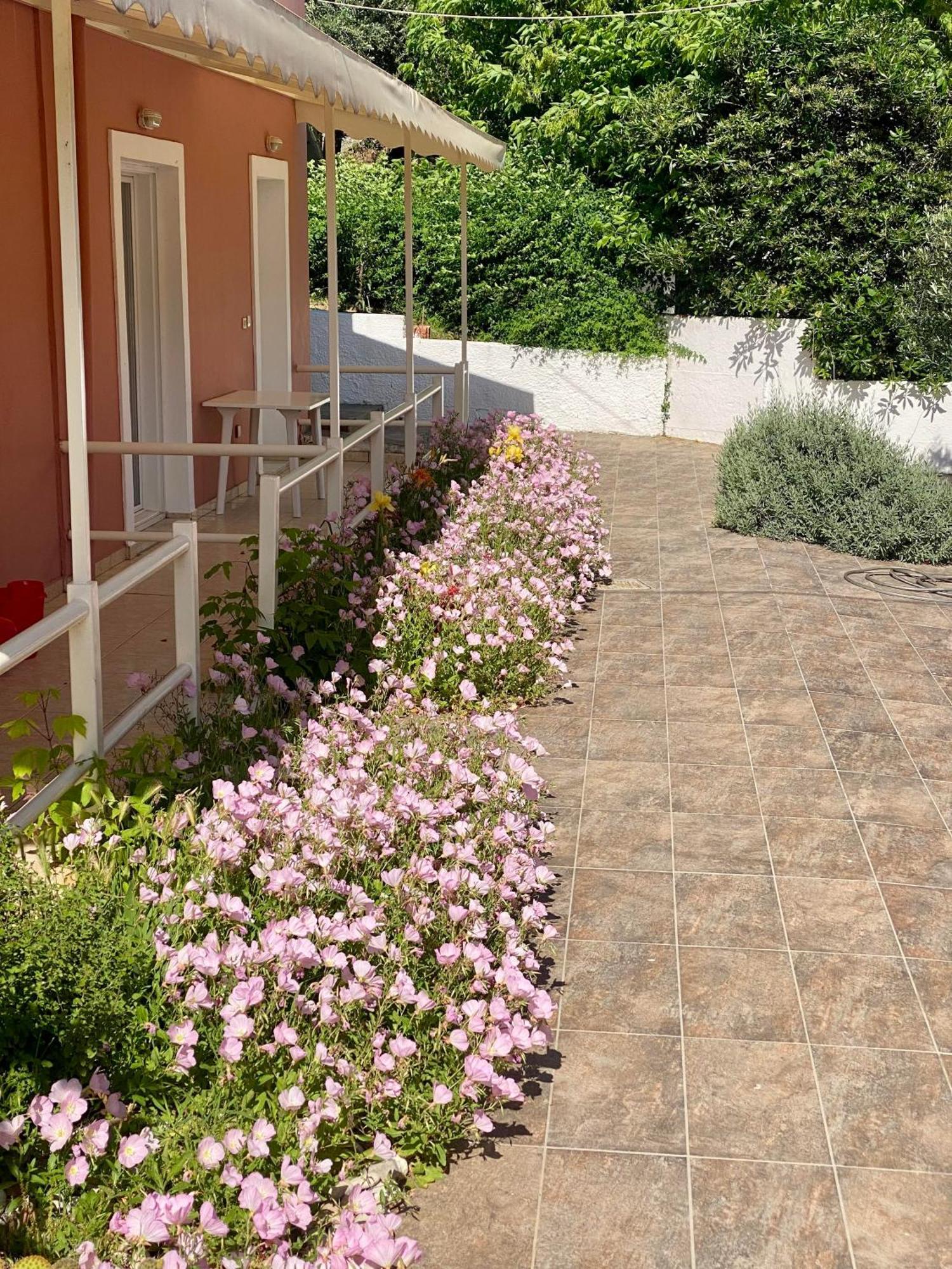 Paradiso Hotel Sea View And Pool Suites Ipsos Corfu Exterior photo